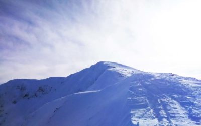 SKI ALP COURSE 2019