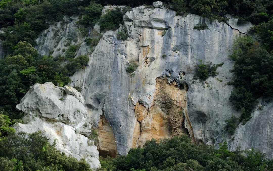 ULTIME POSSIBILITA’ DI ISCRIZIONE AL CORSO DI ARRAMPICATA SPORTIVA