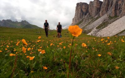 ACCOMPAGNATORE DI MEDIA MONTAGNA, DI COSA SI TRATTA?