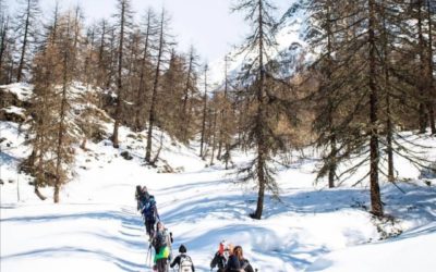 NEW SNOWSHOES COURSE