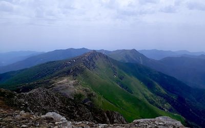 MOUNT MISSUN, FROM LARCHES TO THE SKY…