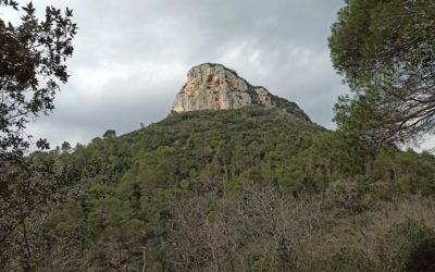 VAL PONCI & MONTE CORNO: Roman bridges, medieval incisions in a beautiful walk