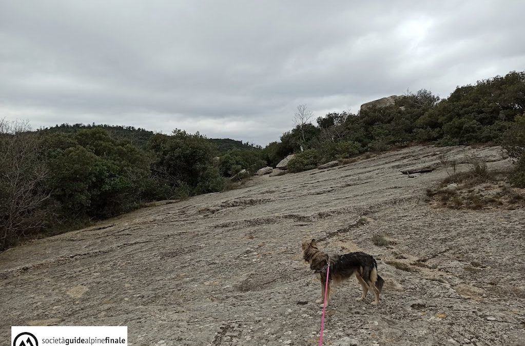 BETWEEN A CIAPPO AND A PICNIC, ROCKY ENGRAVINGS