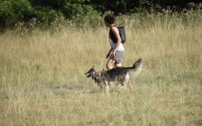 Trekking “a 4 zampe”, escursionismo con il cane