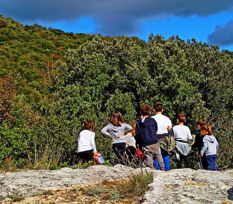 Outdoor Green Week! Age 5-10 years