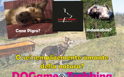 Trekking Dogame with Dog Trainer
