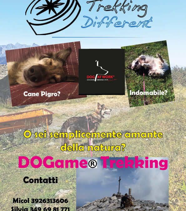 Dogame Trekking con Addestratore Cinofilo