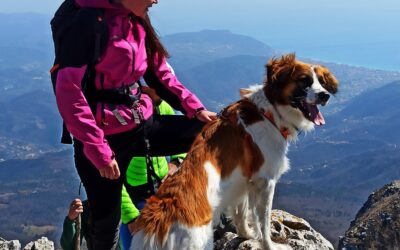 Dog Hiking, escursioni con il cane