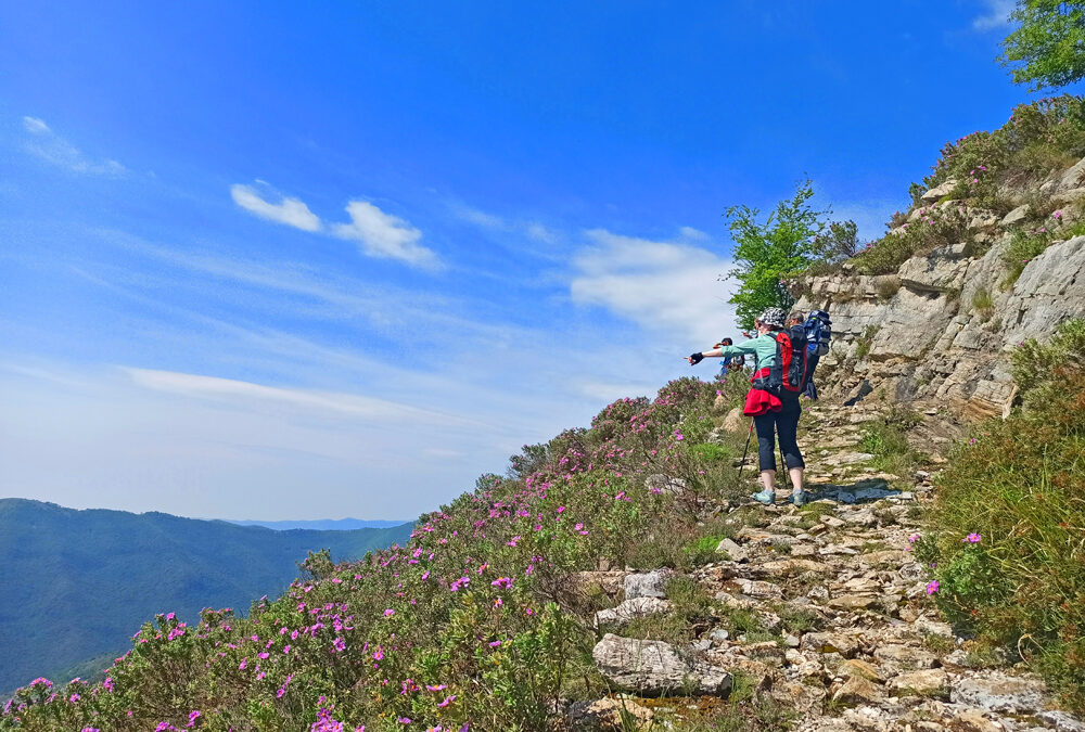 Trekking in Liguria, la Riviera di Ponente – 2023