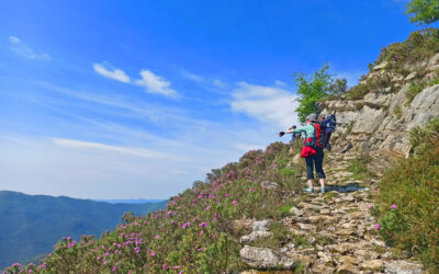 Trekking in Liguria, la Riviera di Ponente – 2023