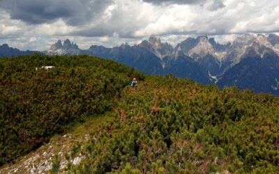 Marmarole Runde, UNESCO Dolomite